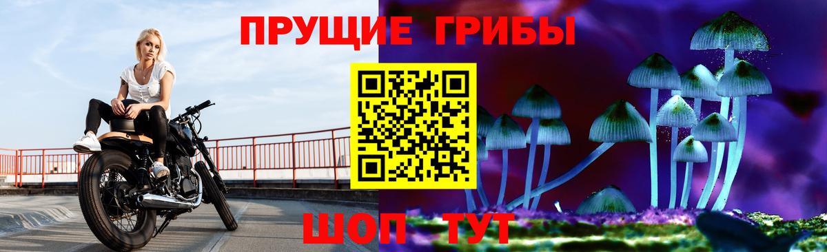 Псилоцибиновые грибы MAGIC MUSHROOMS Алатырь