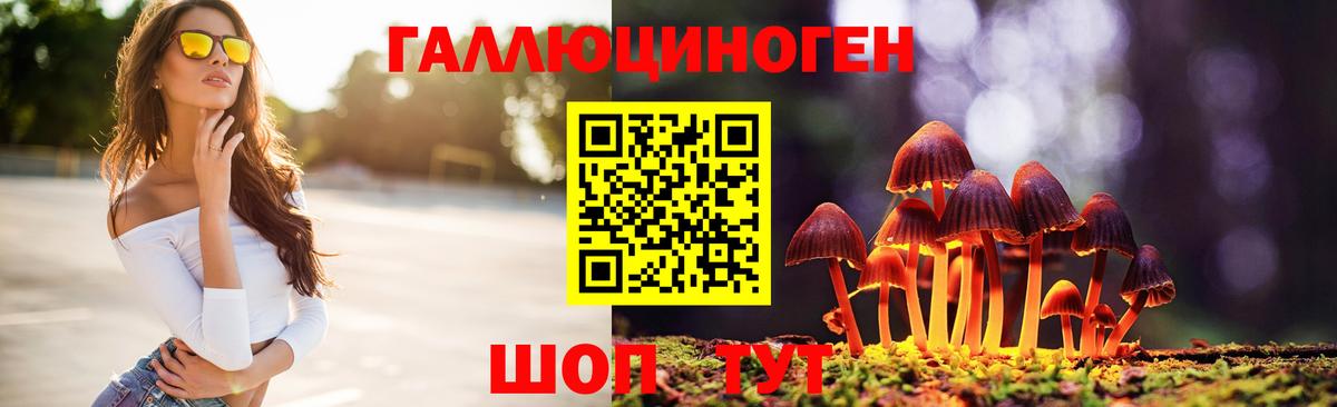 Алатырь  Псилоцибиновые грибы Magic Shrooms  Вход с VPN 